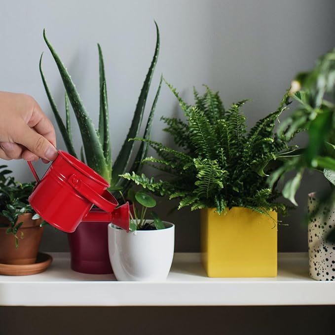 DOITOOL 2 Pack Kids Metal Watering Can for Gardening, Small Iron Watering Can Set for Indoor Outdoor Plants, Mini Toddler Water Pot for Succulents Houseplants Bonsai (Blue, Red)