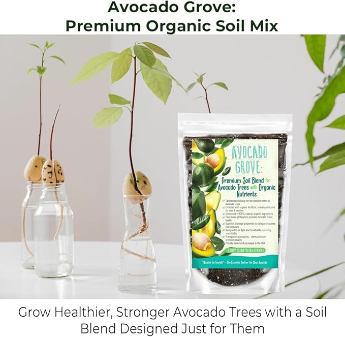GARDENWISE Avocado Tree Soil – Premium Organic Potting Mix for Avocado Trees | Tailored pH & Organic Nutrients | Fast-Draining & Moisture-Retaining | Indoor & Outdoor Use (1 Quart)