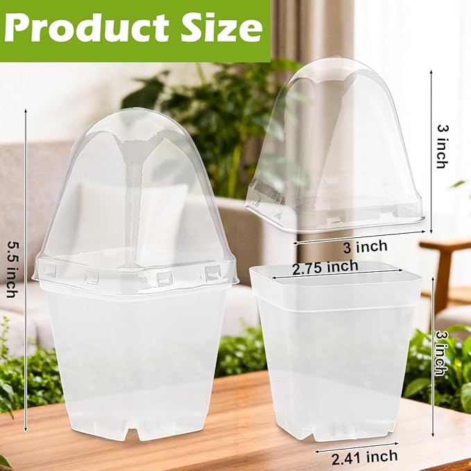 RooTrimmer 2.7 Inch Square Nursery Pots with Humidity Dome, 60 Packs Clear Seedling Pots with Drainage Holes, Reusable Propagation Pots Small Plant Container for Indoor Outdoor Gardening