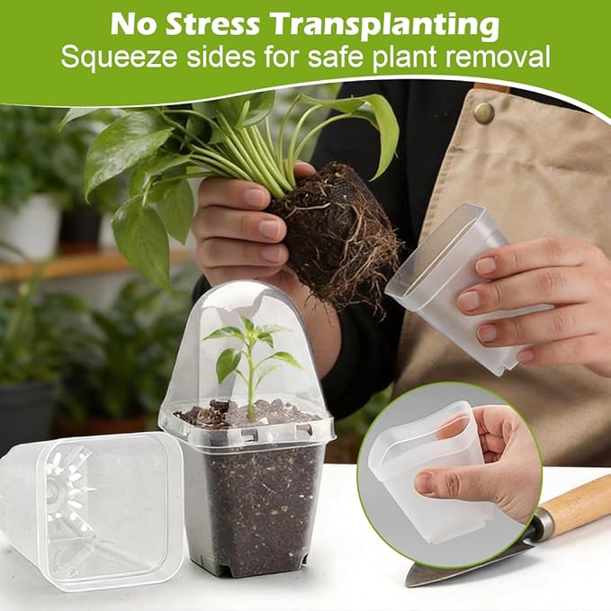 RooTrimmer 2.7 Inch Square Nursery Pots with Humidity Dome, 60 Packs Clear Seedling Pots with Drainage Holes, Reusable Propagation Pots Small Plant Container for Indoor Outdoor Gardening