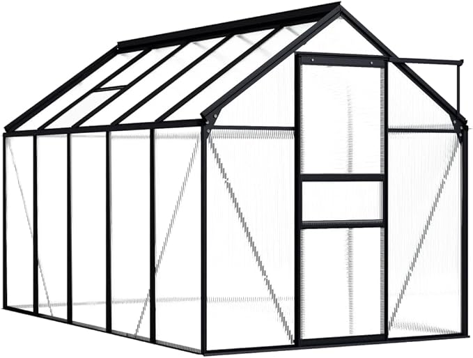 vidaXL Greenhouse, Cold Frame for Garden Patio Backyard Lawn, Green House for Plant Growing Gardening, Outdoor Greenhouse, Anthracite Aluminum