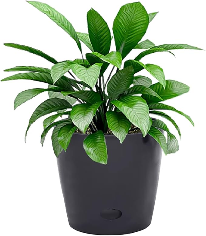 7” Self-Watering Pot – Eco-Friendly Bamboo Planter, Biodegradable & Plastic-Free, Indoor/Outdoor Plant Pot with Built-in Water Well for Healthy Root Growth