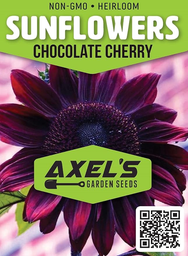 Sunflower Seeds for Planting – Plant & Grow Heirloom Chocolate Cherry Sunflowers in Home Outdoor Garden - Planting Instructions for Vibrant Blooms - Great Gardening Gift, 2 Packets