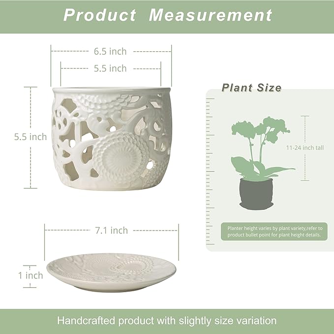 HERDUK Ceramic Orchid Pot, Orchid Pots with Drainage Holes & Saucer 6.5 Inch,Orchid Pot for Repotting Indoor, Orchid Containers with Precise Aeration & Drainage