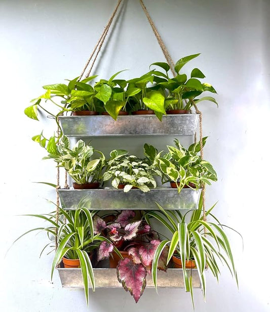 LaLaGreen Wall Hanging Planter - 16 Inch Indoor Wall Planters, 3 Tier Succulent Planters, Metal Silver Window Herb Garden Rectangle Hanging Vertical Plant Pot