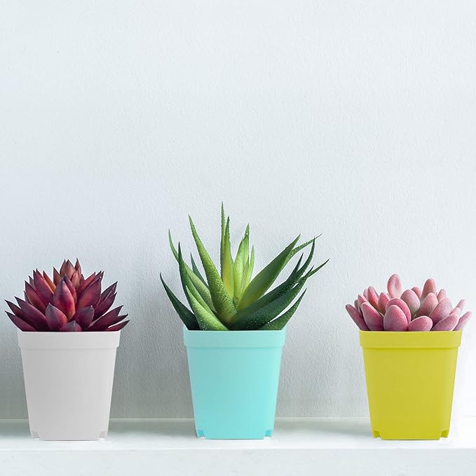 Elcoho 36 Pack 2.7 Inch Square Plants Nursery Pot Multi Color Plastic Plant Seedling Pots Flower Pots Nursery Transplanting Planter Container with Saucer for Your Room, Garden Office and Balcony Decor
