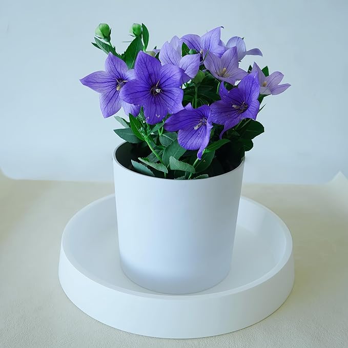 Plant Saucer Tray for Ceramic Plastic Pots, 14 inch Plant Saucers for Indoors, Pot Saucers Trays, Bird Bath Bowls, Flower Planter Water Drip Trays for Pots Base (14", White)