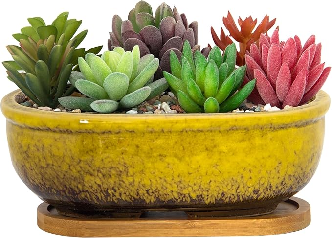 ARTKETTY Succulent Pots, 7.9 Inch Large Succulent Planters with Drainage Tray, Shallow Planters for Indoor Plants Ceramic Cactus Pots Glazed Bonsai Flower Plant Container for Home Windowsill Decor