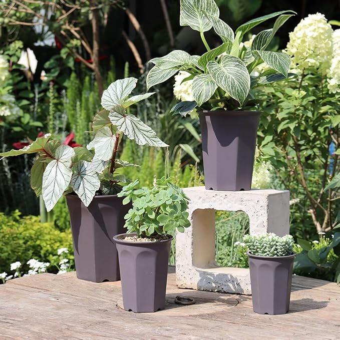 BangQiao 14 Pack 4.40 Inch Plastic Deep Nursery and Seedling Pots, Round Transplant Seed Starter Planter,Gray Color
