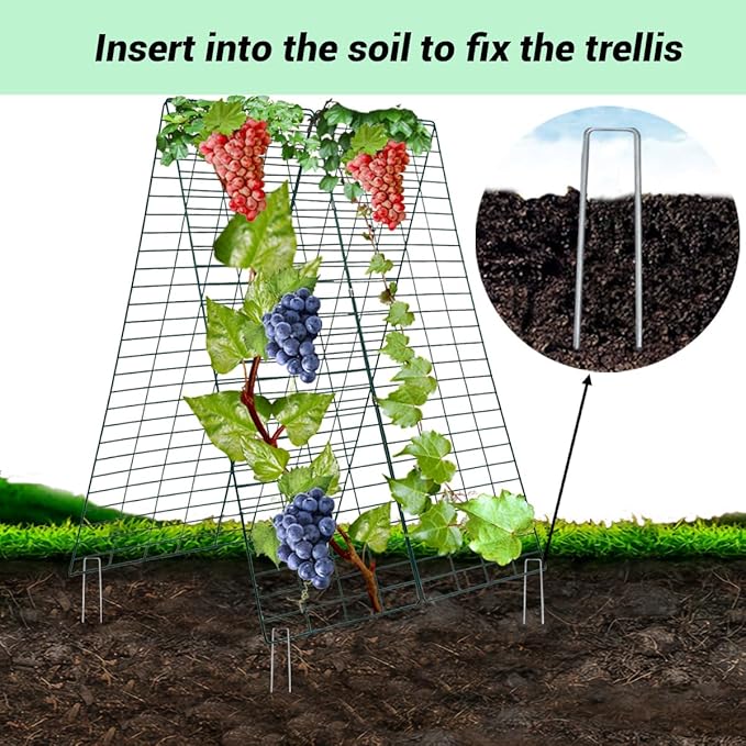 Metal Trellis for Climbing Plants Outdoor Garden Trellis,Cucumber Trellis,Tomato Plant Support/Squash/Zucchini/Sweet Peatrellis,Green Bean/Grape/Vine/Flower Plant Trellis (2 Pack)