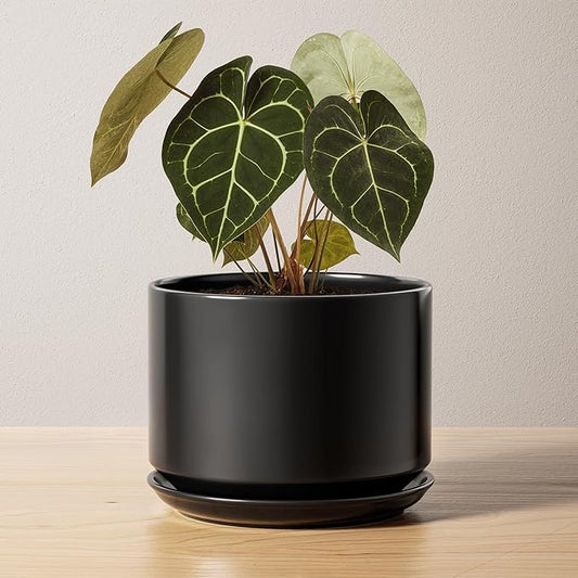 LE TAUCI Ceramic Pots for Plants, 6.8 Inch Plant Pots with Drainage Hole & Saucer, Modern Planter for Indoor Plants, Stable & Durable, Perfect for Living Room or Office Decor, Black