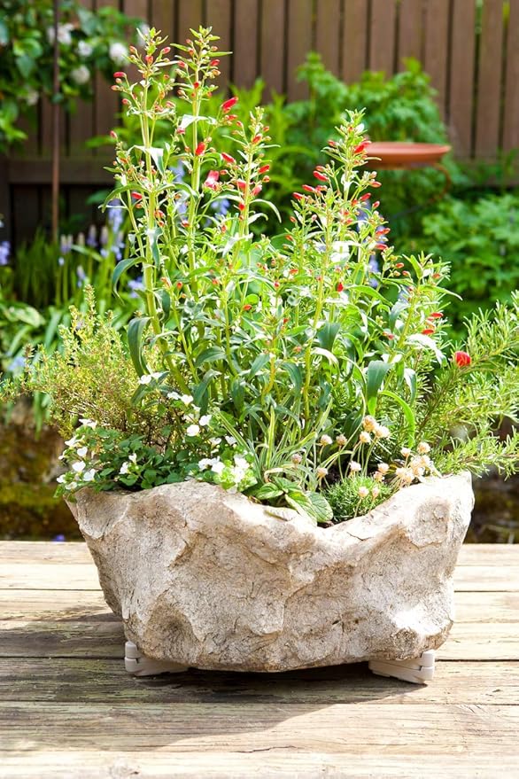 Bosmere Pot Toes, Plant Pot Risers for Indoor and Outdoor, Prevent Stains and Rotting on Wood, Cement, and Tile - Light Gray (Pack of 12)