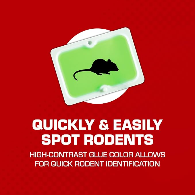 Tomcat Super Hold Glue Traps Mouse Size for Mice, Cockroaches, Spiders, and Scorpions, Ready-To-Use, 4 Traps | For Mice, Cockroaches, Spiders, and Scorpions, Ready-To-Use