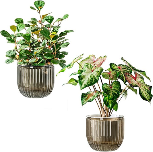 Melphoe Self Watering Pots for Indoor Plants Planter, 6.5 Inch 2 Pack Planters Self Watering Plant Pots for Flower, Houseplants, Succulent, African Violets and Cactus with Drainage