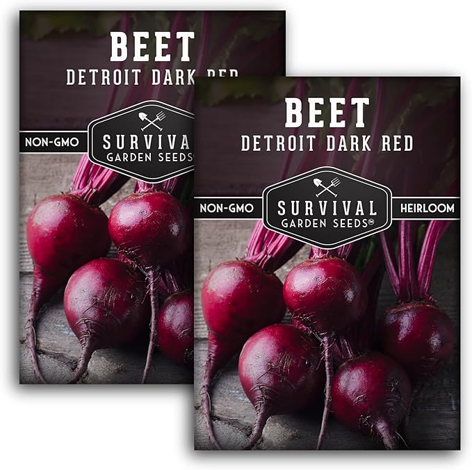 Detroit Dark Red Beet Seeds for Planting - Classic Red Beets for Garden Growing Outdoors, High Yield Heirloom Beetroot, Non-GMO Open Pollinated - Survival Garden Seeds (2 Pack)