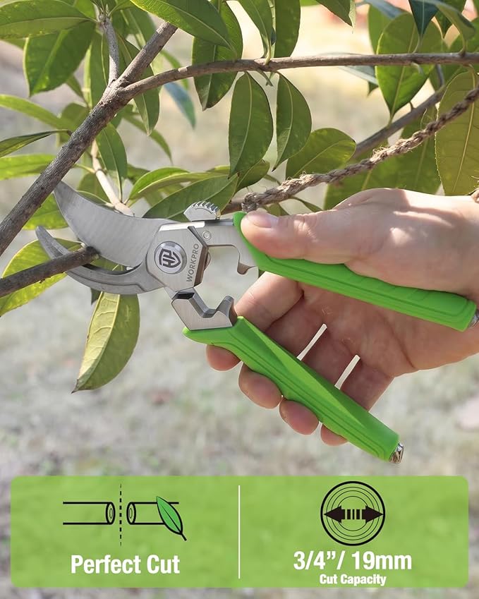 WORKPRO 8.5" Bypass Pruning Shears, Professional Garden Shears with Forged Steel Blades, 3/4" Cut Capacity, Spring-Loaded, Safety Lock, Hand Pruner & Plant Clippers for Trimming, Bonsai, Flowers