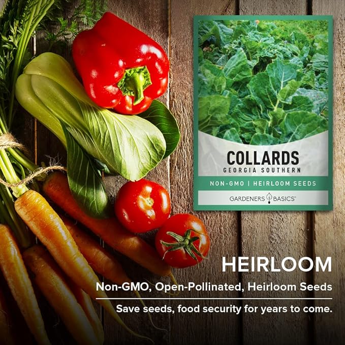 Gardeners Basics, Collard Greens Seeds for Planting - Georgia Southern Non-GMO Vegetable Variety- 1 Gram Seeds Great for Summer, Fall and Winter Gardens