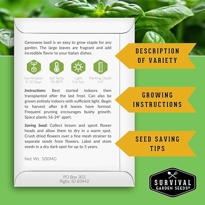 Kitchen Herb Seeds Variety Pack – 5 Garden Herb Seeds for Planting: Basil, Curly Parsley, Cilantro, Chives & Thyme – Heirloom Non GMO Indoor Outdoor Seed Vault - Survival Garden Seeds