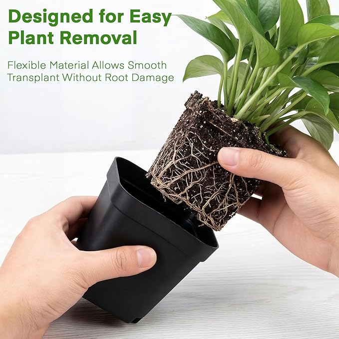 GREANER 3.5 Inch Square Nursery Pots, 80 Packs Seedling Planters with Drainage Holes, Plastic Planting Pots for Garden, Greenhouse(Black)