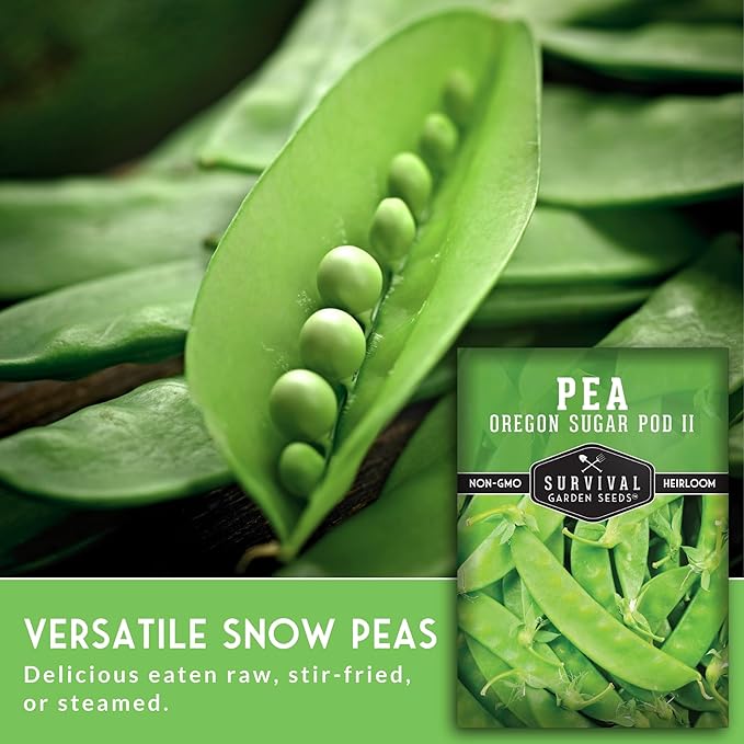 Oregon Sugar Pod II Snow Pea Seeds for Planting - Crisp Edible Pods, High Yield Sugar Snap Style Snow Peas, Heirloom Open Pollinated Non-GMO - Survival Garden Seeds (2 Pack)