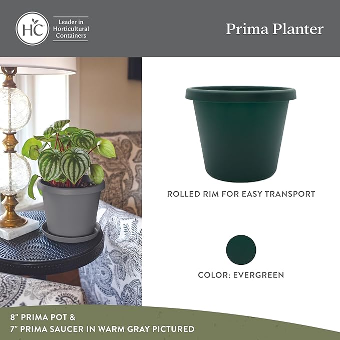 The HC Companies Prima Round Plastic Plant Pot w/Rolled Rim - Lightweight & UV Resistant Flower Pot for Herbs & More - Outdoor & Indoor Plant Pots w/Drainage (6 inch, Evergreen, Pack of 1)