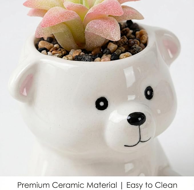 Cute Animal Ceramic Succulent Planters, Small Bonsai Planter, Aloe Cactus Succulent Plant Pots with Drainage Indoor Outdoor Use for Office Home Garden Decoration, Plants Not Included (Sea Bear)