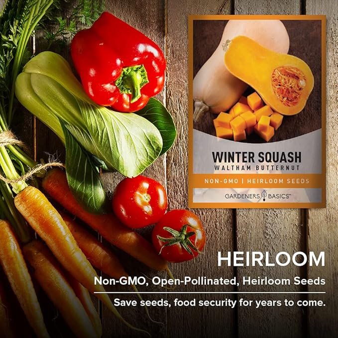 Gardeners Basics, Butternut Squash Seeds for Planting - Waltham Heirloom Non-GMO Winter Storage Vegetable Plant for Home Garden Vegetables Makes a Great Gift for Gardening