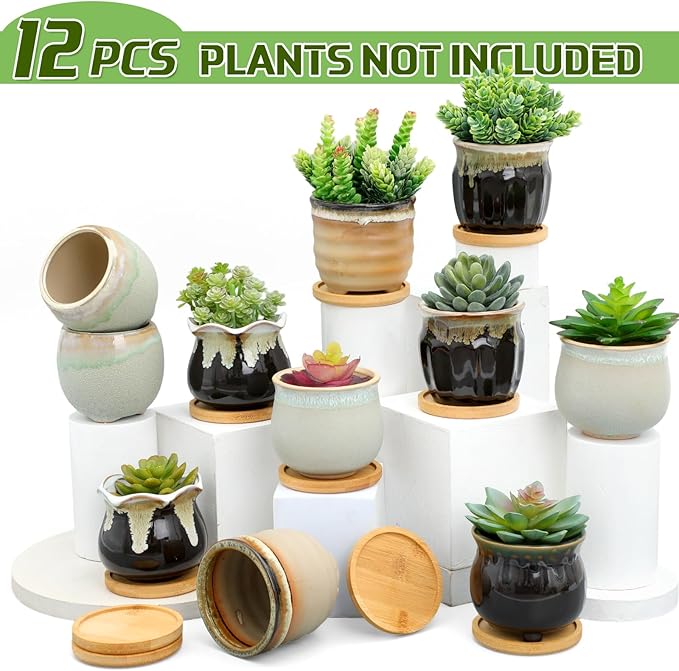Remerry 6 Pcs Small Succulent Pots Bulk with Drainage Assorted 3.5 Inch Mini Ceramic Succulent Planters Pot with Coaster Bamboo Plant Tray Planting Pots for Home Office Garden
