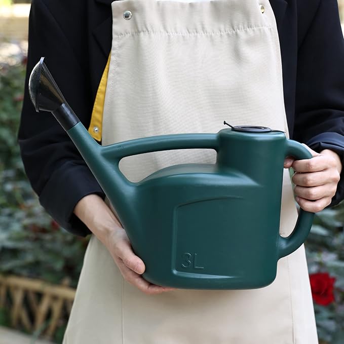Small Watering Can for Indoor Plants, 0.8 Gallon Plastic Plant Watering Can with Long Spout, Lid and Detachable Sprinkler Head, 3L Lightweight Watering Pot for House Plants and Garden Flower