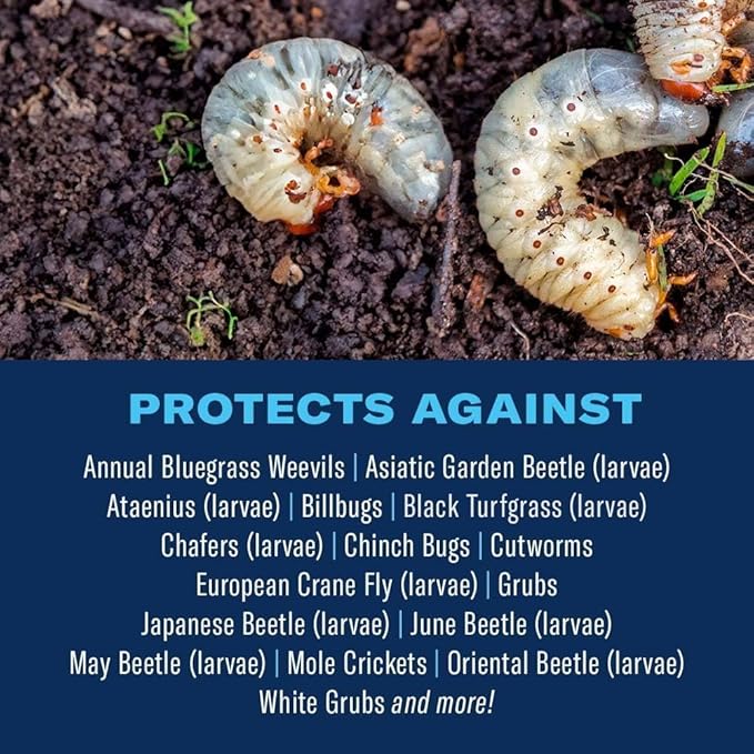 BioAdvanced Season-Long Grub Control Plus Turf Revitalizer, Granules, 12 lb, Grub Killer for Lawns
