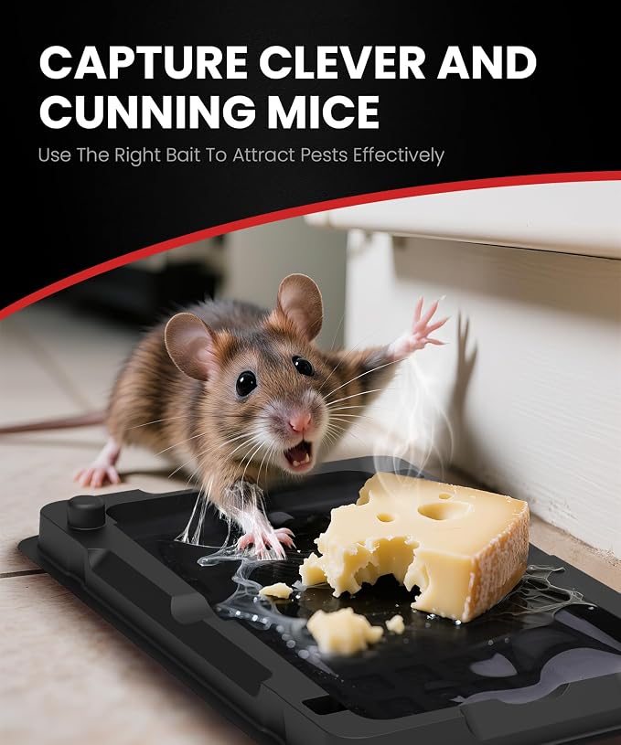 Wowcatch Sticky Mouse Traps Indoor for Home -26 Pk Bulk Pack Pre-baited Glue Traps for Roaches, Spider, Rodent Catcher for Kitchen, Garage, Glue Boards for Insects, Pet Safe Pest Control, Non-Toxic