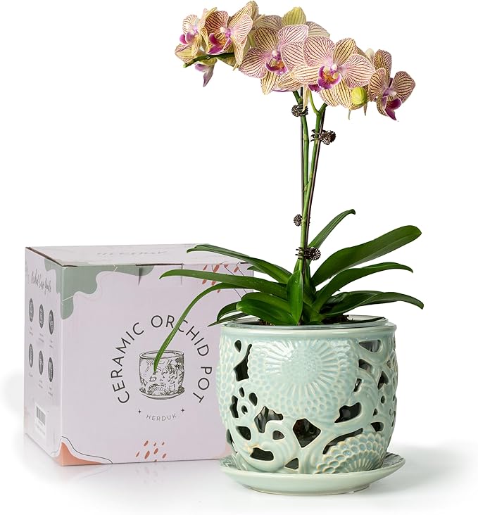 HERDUK Ceramic Orchid Pot, Orchid Pots with Drainage Holes & Saucer 6.5 Inch,Orchid Pot for Repotting Indoor, Orchid Containers with Precise Aeration & Drainage Sky Blue