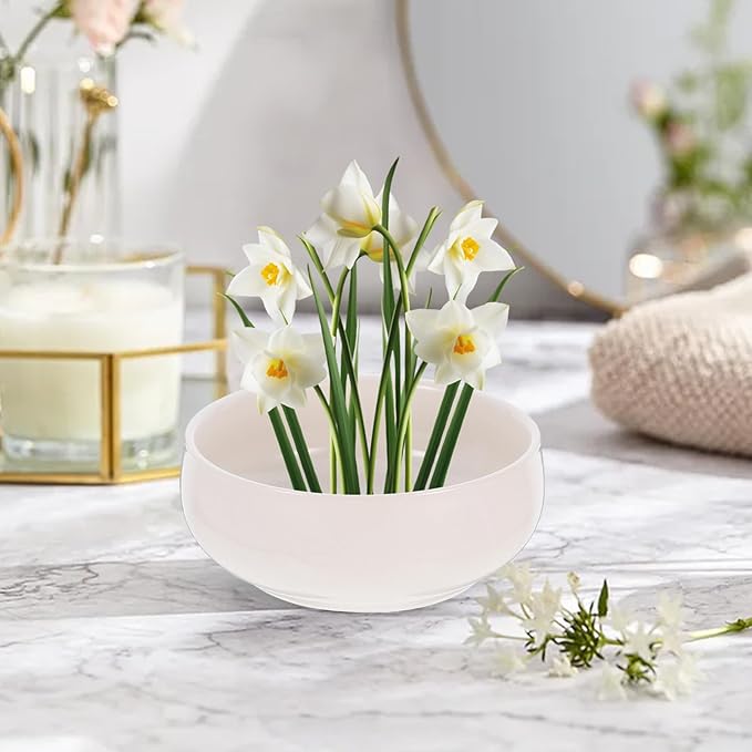 Toddmomy Hydroponic Planter Pot 6.49X5.70X2.55 Inch Ceramic Lotus Bowl for Indoor Succulents Coin Grass Water Lily Decorative Garden Container