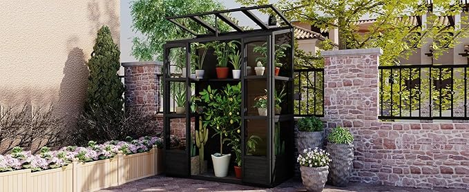 Walk-in Greenhouse for Outdoor 78 Inch Wooden Green House Cold Frame with 2 Doors 4 Openable Independent Skylights 2 Folding Middle Shelves Heavy Duty Plant Gardening Green House for Backyard, Black