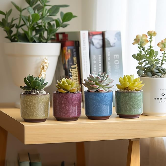 T4U 2.5 Inch Small Ceramic Succulent Planter Pot with Drainage Hole Set of 12, Ice Crack Glaze Plant Container for Cactus, Plant Lover Gifts for Women Mom Coworker Home Office Decor