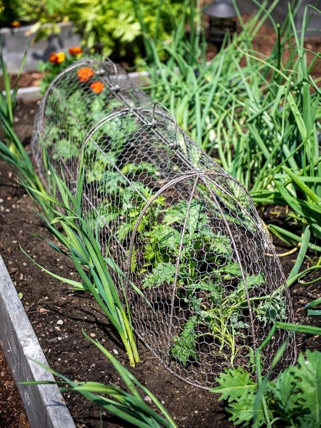 Gardener’s Supply Company Chicken Wire Cloche Garden Plot Plants Cover Protector | Sturdy Arch Metal Tunnel Cage Flowerbeds and Seedlings Garden Protection from Wild Animals | (3-in-1 Set) Extra Large