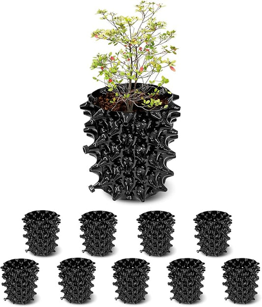 RooTrimmer 1 Gallon Air Pruning Containers, New Plastic Nursery Pots, Fruit Vegetable Garden Self-Planting Pots, Black (1G-10P)