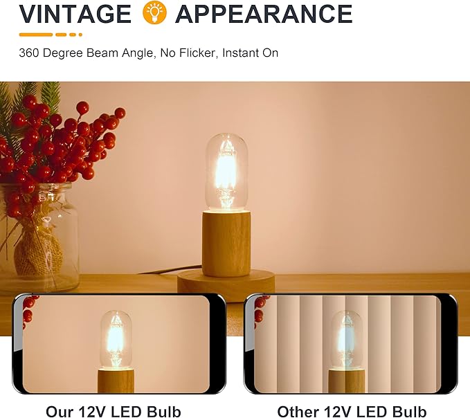 12V Low Voltage LED Light Bulbs - Soft Warm 2700K 4W (Only for 12 Volt DC/AC)- 40W Equivalent E26 Edison Base Tube Bulb for RV, Garden, Posts - 3 Pack