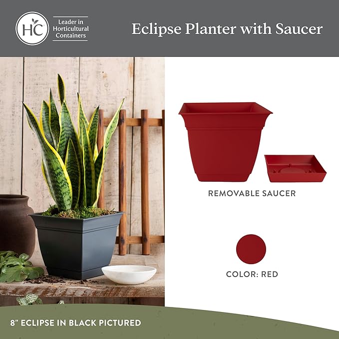 The HC Companies Eclipse Square Plastic Planter w/Attached Saucer - Outdoor & Indoor Plant Pot with Drainage Holes - Lightweight, UV-Resistant Plastic Pots for Plants (8" Red, Pack of 1)