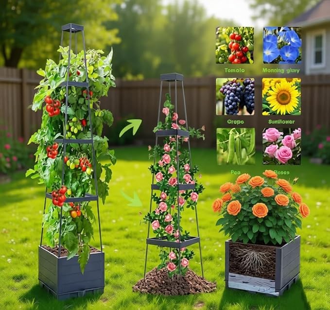 2 Packs Tomato Planter with Trellis, 56" Tomato Cages for Indoor & Outdoor Climbing Plants, Self Watering Vertical Garden Bed Plant pots for Garden Patio