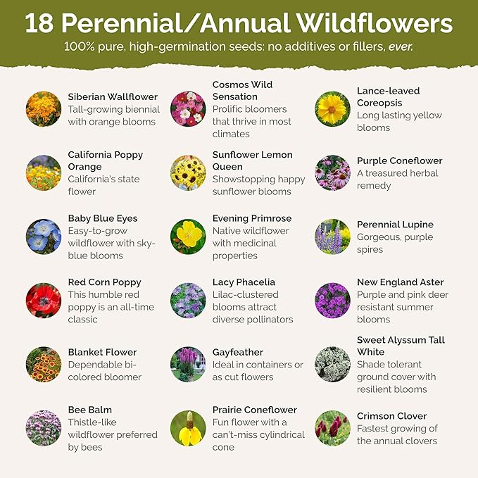 Eden Brothers Wisconsin Wildflower Mixed Seeds for Planting, 1 lb, 480,000+ Seeds with Sunflower, Aster | Attracts Pollinators, Plant in Spring or Fall, Zones