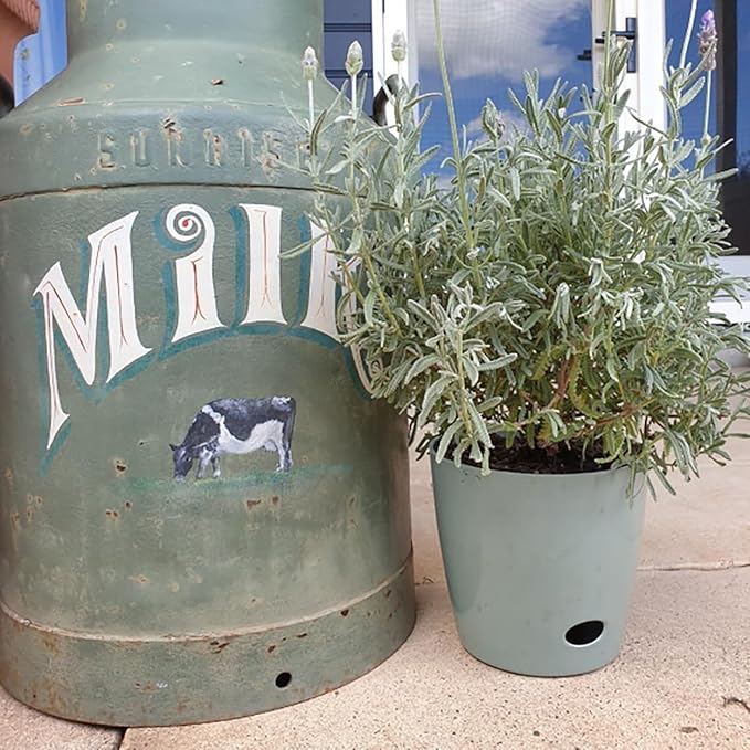 7 Inch Self-Watering Bamboo Planter (Sage Green) - Round - Bamboo Fiber - No Overwatering or Root Rot