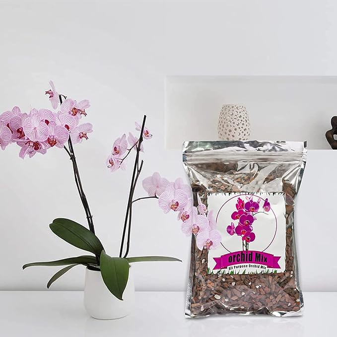 Doter All Purpose Soil Potting Mix - Orchid Bark & Organic Perlite for Plants - All Natural Soil Media Has Good Drainage for Planting or Orchid Repotting (1 qt)