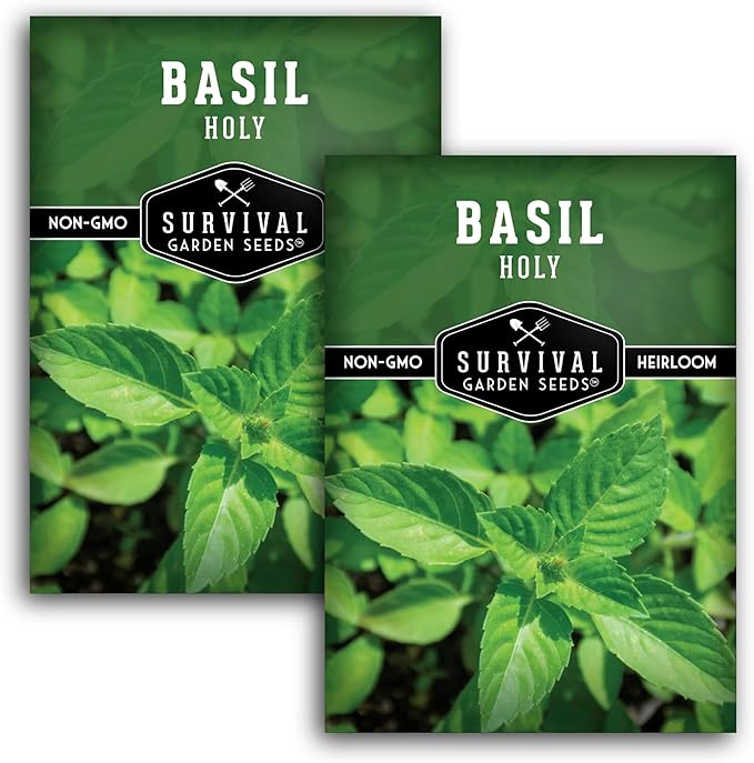 Holy Basil Seed for Planting - Indian Sacred Herb Tulsi Seeds to Grow in Your Home Vegetable Garden - Non-GMO Heirloom Variety - Survival Garden Seeds (2 Packs)