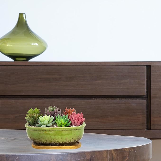 ARTKETTY Succulent Pots - Large Succulent Planters with Drainage Tray, 7.9'' Ceramic Pots for Indoor Cactus Plants, Oval Bonsai Flower Plant Container Bowl Decorative Home Desk Windowsill