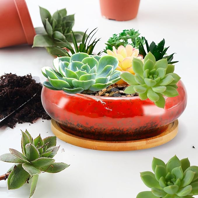 7.4 inch Ceramic Bonsai Pots with Trays Shallow Planters, Succulent Planters with Drainage Hole, Round Large Shallow Pots, Bonsai Pots Garden Decorative Cactus Stand Flower Container (Red)