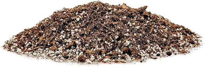 GARDENERA Premium Organic Potting Soil for Broccoli - (3 Quart Bag)