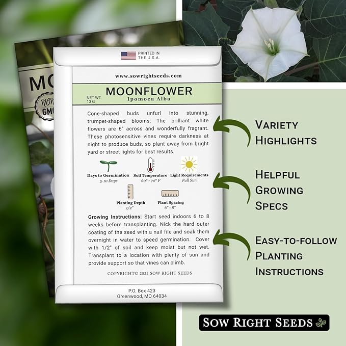 Sow Right Seeds - Moonflower (Ipomoea alba) Flower Seeds for Planting - Non-GMO Heirloom Flowers to Grow in Your Home Garden - Vining Plant for Beautiful Evening Blooms - Wonderful Gift (3)