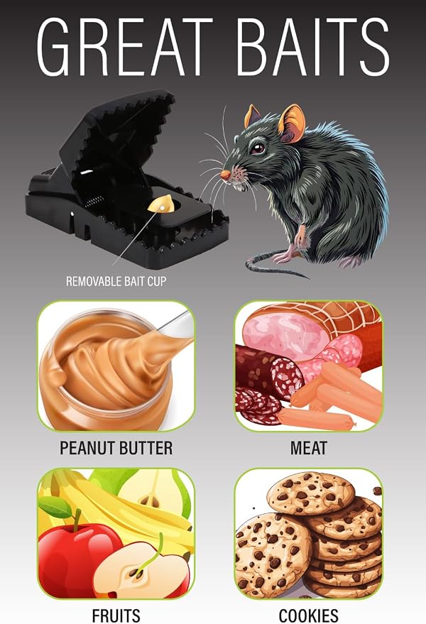 Rat Trap Six Pack - Powerful Reusable Traps for a Quick Kill Indoor or Out | Easy-Bait, Easy-Set Traps Catch Rats, Mice, Voles and Chipmunks Quickly Without Poison or Electricity