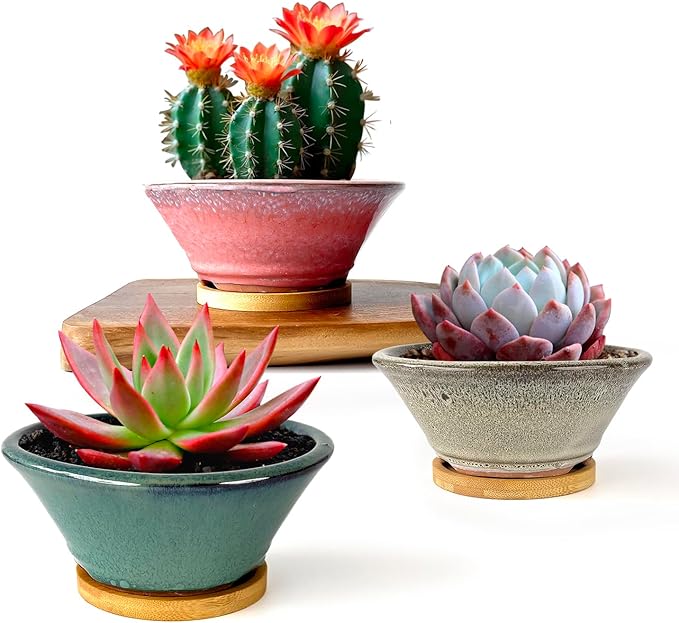 6 Inch Glazed Terracotta Succulent Pot Planter Small Plant Pot with Drainage Hole and Bamboo Saucer Cactus Ceramic Pot Set of 3 (Light Green Pink White)
